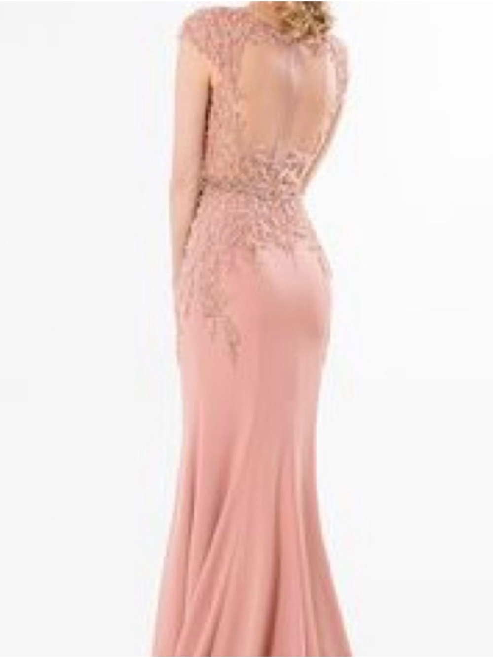 Terani Couture Blush Pink Backless Embroidered Evening Gown